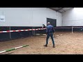 Springpaard Te Koop driejarige springmerrie