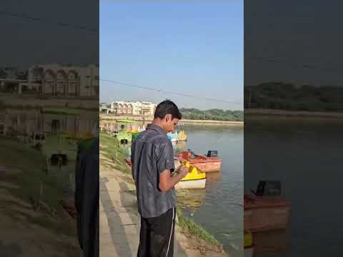 Cute Cute Fishes🐟🐠❤️#me #papa #mmy #cute #cute #fishes #youtubeshorts #viralshort #ytshorts #like 👍🏻