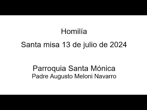 Homilía extraída de la Misa del 13 de julio del 2024