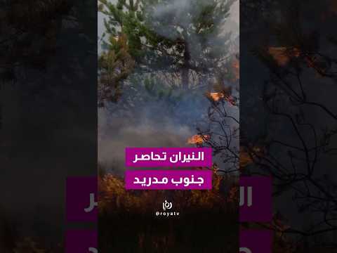 السيطرة تتقدم على حريق مدريد.. وعودة السكان إلى منازلهم بعد انحسار خطر النيران.