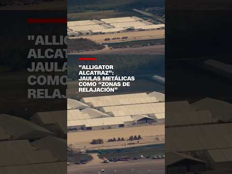 "Alligator Alcatraz”: jaulas metálicas como “zonas de relajación”