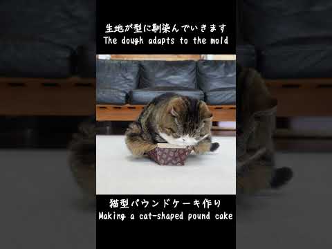 膨らみ過ぎて溢れた猫型パウンドケーキ。 #Shorts