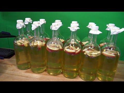 How to Culture MILLIONS of Vinegar Eels Like a Pro Take a look as I create a dozen vinegar eel cultures. This is a very simple process and the resultin