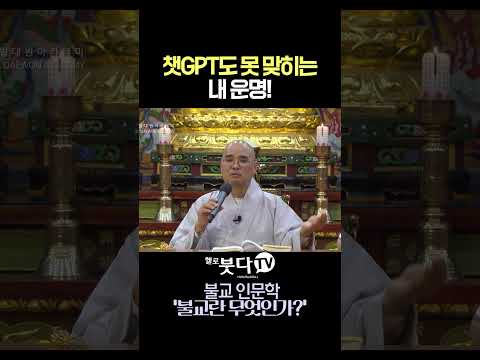 챗GPT도 못 맞히는 내 운명😱  #자현스님 #챗GPT #인공지능 #사주팔자 #운명 #명언