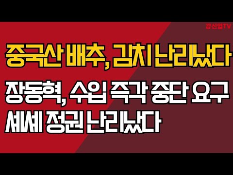 중국산 배추, 김치 난리났다/장동혁, 수입 즉각 <strong>중단</strong> 요구/셰셰 정권 난리났다