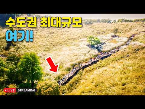 100대 명산 정상에서 펼쳐지는 역대급 억새군락 절경 트레킹 코스 | 대중교통 <strong>당일치기</strong> <strong>여행</strong>