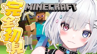 【雑談 / Minecraft/ 睡眠導入】完全初見！ソロマイクラ！寝れない方おいで🐄途方の無い山削り【#新人Vtuber #崗本むおん 】