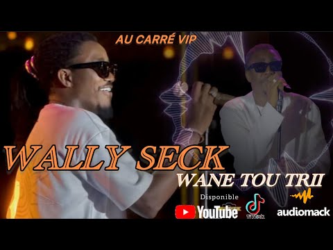 WALLY SECK EN LIVE AU CARRÉ VIP -(WANE TOU TRII) #samaartistedistribution #wallyseck #music #live 