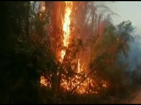 Alcalde de San Ignacio de Velasco entrega informe sobre incendios forestales