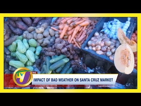 Impact of Bad Weather on Santa Cruz Market - November 7 2020