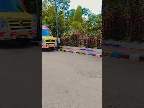 कितना प्यारा#parivaryoutube #love