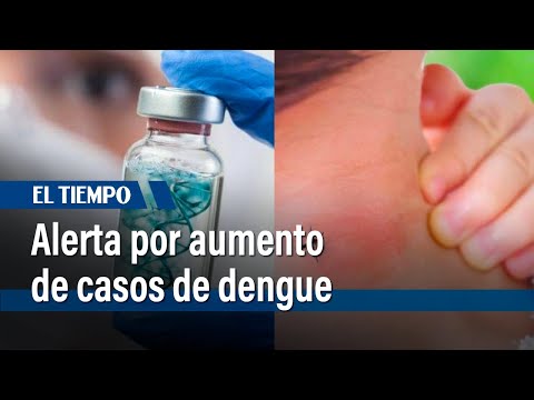 OMS advierte sobre la continua amenaza del dengue en Colombia | El Tiempo
