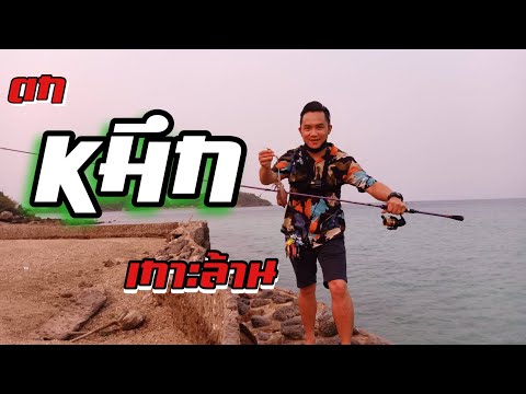ตกหมึกเกาะล้าน-หมายลับๆ-ไม่เป็ ตกหมึกเกาะล้าน-หมายลับๆ-ไม่เป็