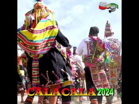 VIII Festival de CALACALA 2024 - Preingreso- Pinkillada.#shorts  #musica #tradicional