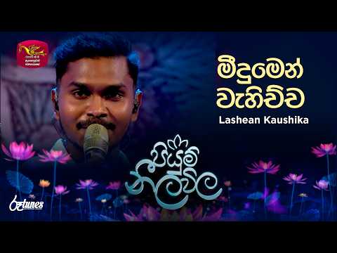 Meedumen Wahichcha| මීදුමෙන් වැහිච්ච | Lashean Kaushika | Piyum Neela Vila | Roo Tunes