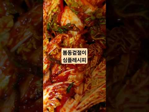 봄동겉절이 레시피 총정리/쉽고 맛있는 레시피 #봄동겉절이#봄동무침 #겉절이