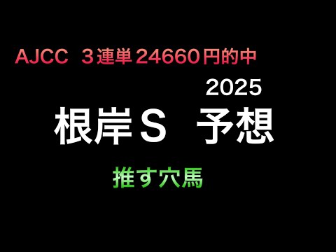 【競馬予想】　根岸ステークス　2025  予想