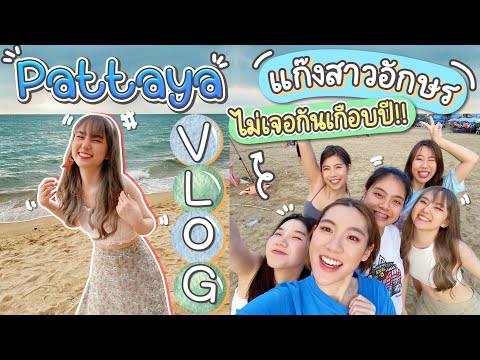 กลับมาเจอเพื่อนอักษรในรอบปี!!- กลับมาเจอเพื่อนอักษรในรอบปี!!-