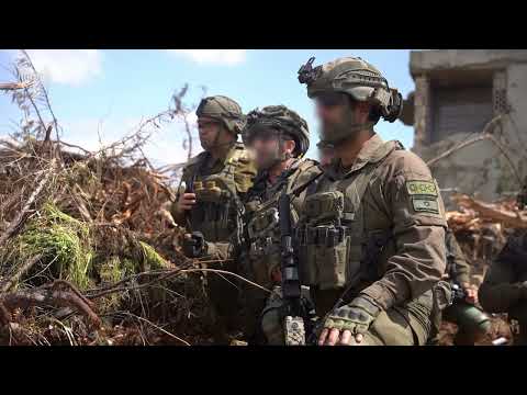 פעילות כוחות חטיבת גולני בדרום לבנון