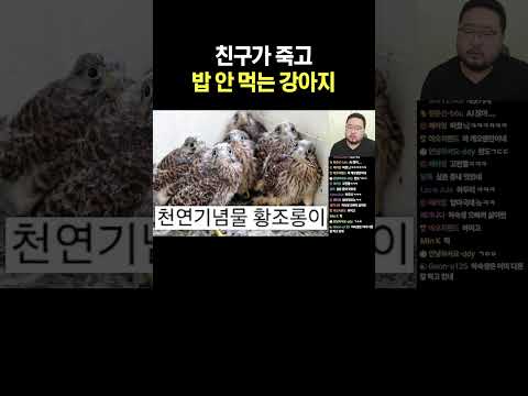 친구가 죽고 <strong>밥</strong> 안 먹는 강아지
