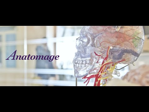 Meet USDLA Sponsor: Anatomage — Discover their ecosystem of 3D
anatomy hardware and software