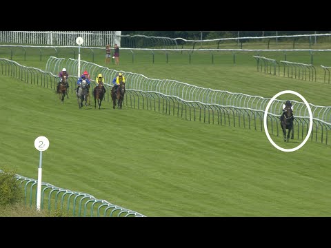 Horse Riding 🐎 UNBELIEVABLE! Horse race at Nottingham produces one of the easiest winners you'll ever see!