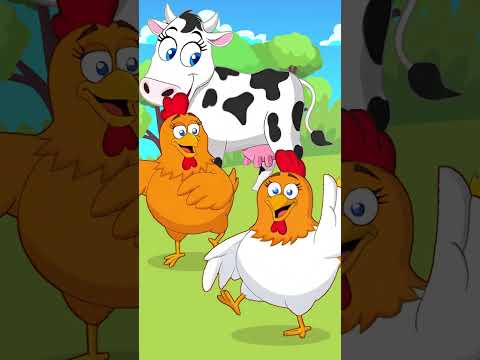 Pintainho Amarelinho 6  - Vem Que Eu Vou-te Ensinar