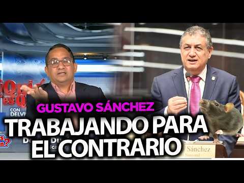 Delvis Durán LE ENTRA A Gustavo Sánchez: UN RATÓN EN LA POLÍTICA