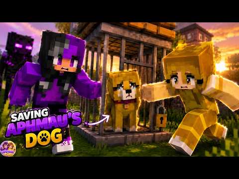 We Rescued Aphmau's Dog In Minecraft