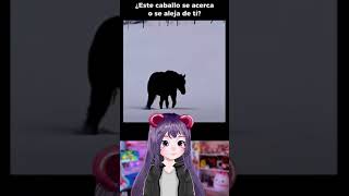 CABALLO