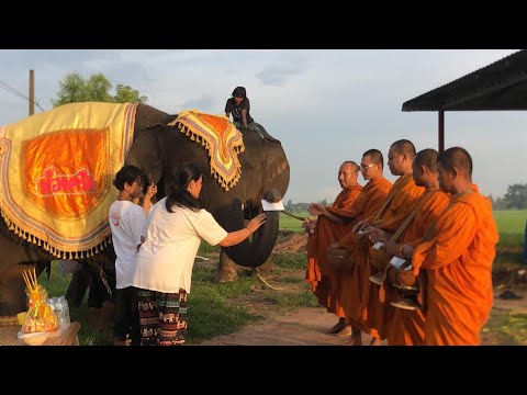 🎂สุขสันต์วันเกิดค่ะคุณแม่ลูกส