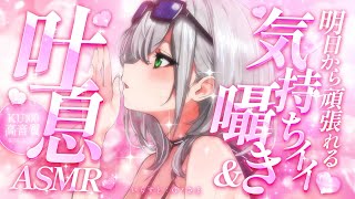 【ASMR】9月も頑張れる♡まだまだ暑い日に気持ちイイ♡心安らぐ安眠ASMR💤【白銀ノエル/ホロライブ】