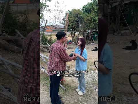 เรื่องรางของไทบ้านเดอะสตอรี่EP