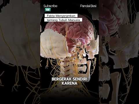 Fakta Menyeramkan tentang Tubuh Manusia! #shorts #youtubeshorts #faktaunik