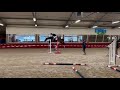 Show jumping horse Fijne aansprekende 4 jarige merrie