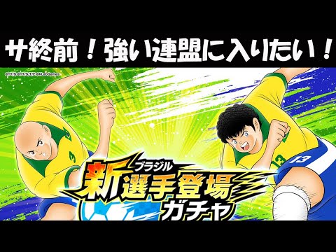 【キャプテン 翼たたかえドリーム チーム・CTDT】とにかくバフ4%！ロベカロ&ペペ！そろそろサ終かもしれないので、トップ連盟に加入したい！【4983夢玉】