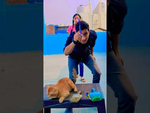 Amaira Aaj Isse Brush Karegi 😱😂 | Funny Kids Shorts | Viral Video 2025 #shotrs