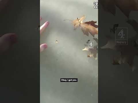 Police rescue child from frozen pond