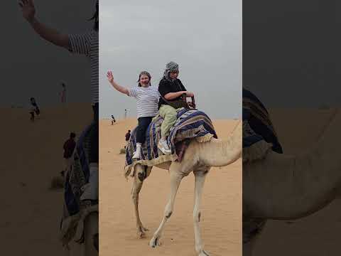 Safari Tour #shortvideo #shorts