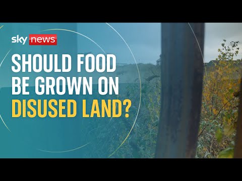 Should people have the right to grow food on disused land?