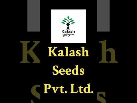 TOP 10 SEED COMPANIES IN INDIA #india #seed #companies
