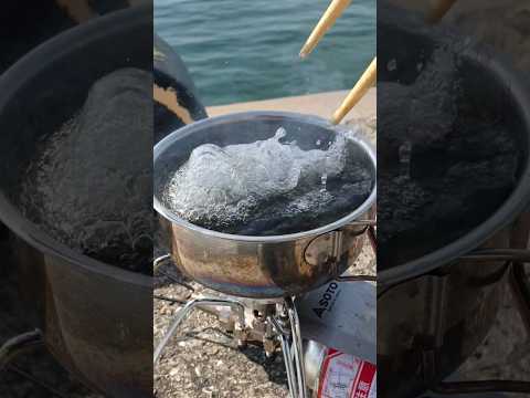 釣った魚を200℃の中に突っ込むと0.3秒で大爆発