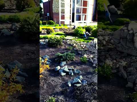 #дача #омск #ранняя весна 2025