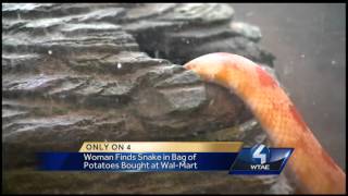أمريكية تعثر على ثعبان في كيس بطاطس