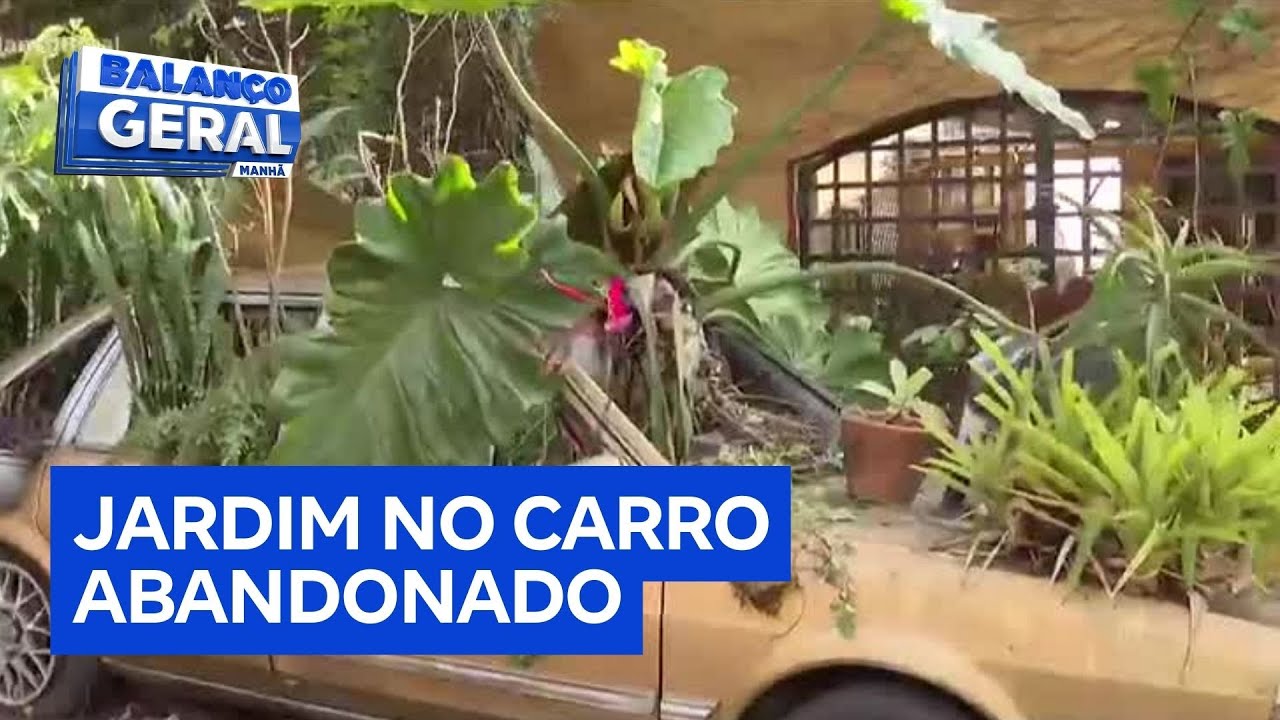 Moradores transformam carro abandonado em jardim e entram em choque com subprefeitura