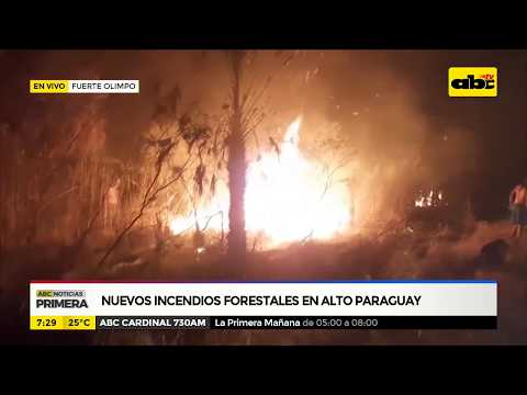 Nuevos incendios forestales en Alto Paraguay