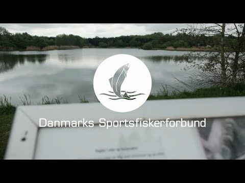 Størkursus 2024