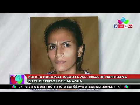 Policía Nacional incauta 254 libras de Marihuana en el Distrito I de Managua