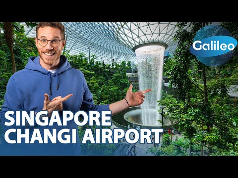 Vom Indoor-Wasserfall bis Klettergarten: So außergewöhnlich ist Singapurs Flughafen!