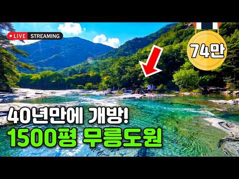 [라이브소통] 국가에서 1호로 지정🏆 2년간 다닌 곳 중 단연 최고라고 자부합니다. 환상적인 협곡 절경 5.2km 트레킹 코스 | 당일치기 대중교통 여행